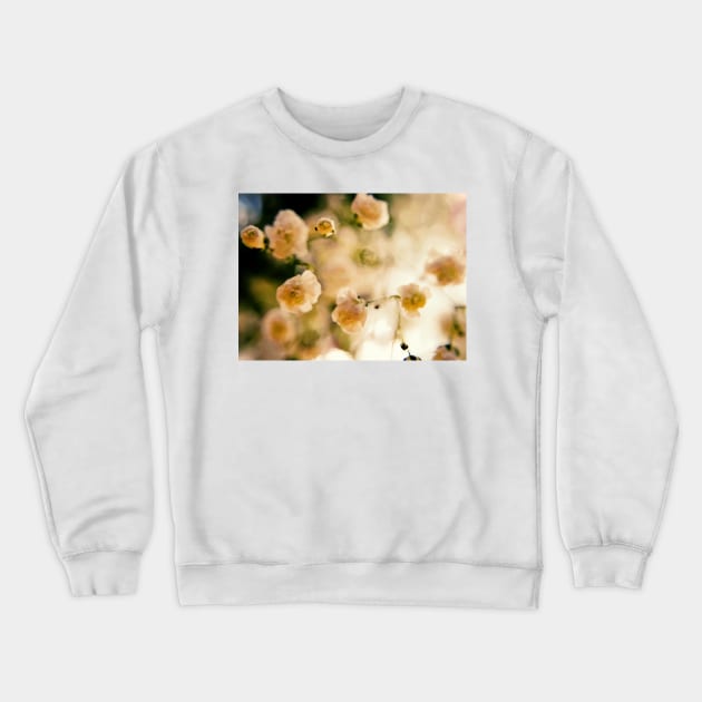 Dreamy Crewneck Sweatshirt by Colette22